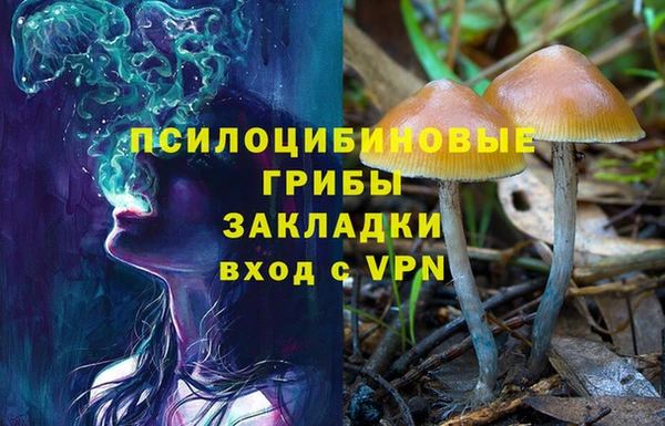 первитин Белокуриха