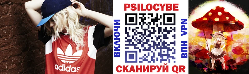 Псилоцибиновые грибы GOLDEN TEACHER купить наркотик Гороховец